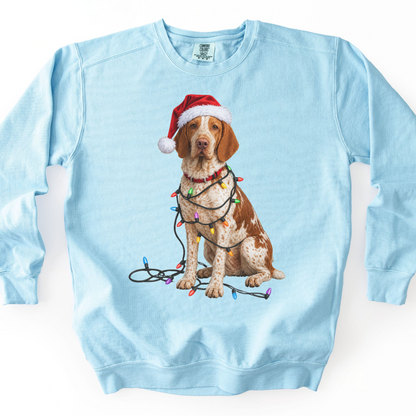 Bracco Italiano Christmas Lights Sweatshirt