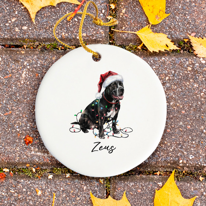 Personalized Cane Corso Christmas Ornament, Festive Dog Keepsake, Ceramic Tree Decoration