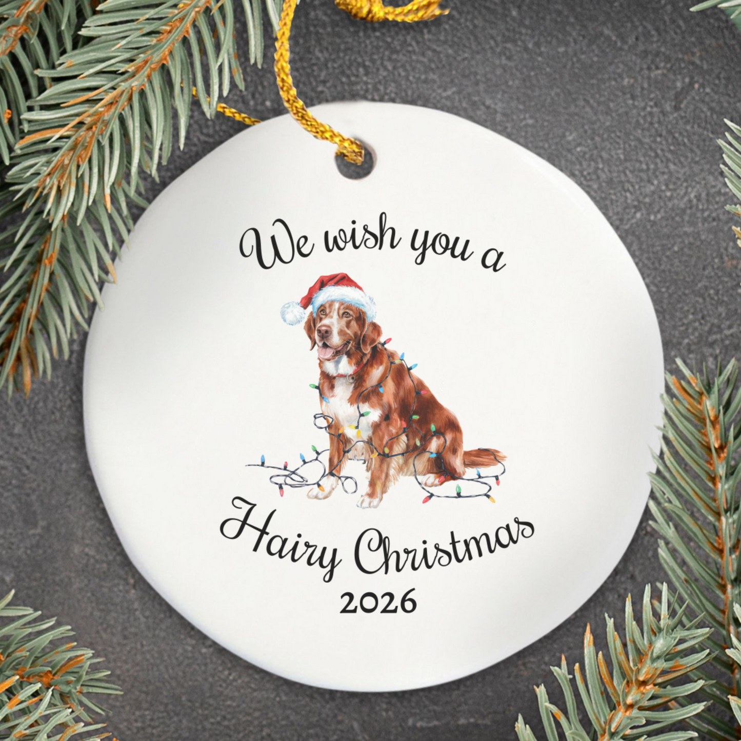 Christmas Nova Scotia Duck Tolling Retriever Ornament, Christmas Lights Dog Keepsake