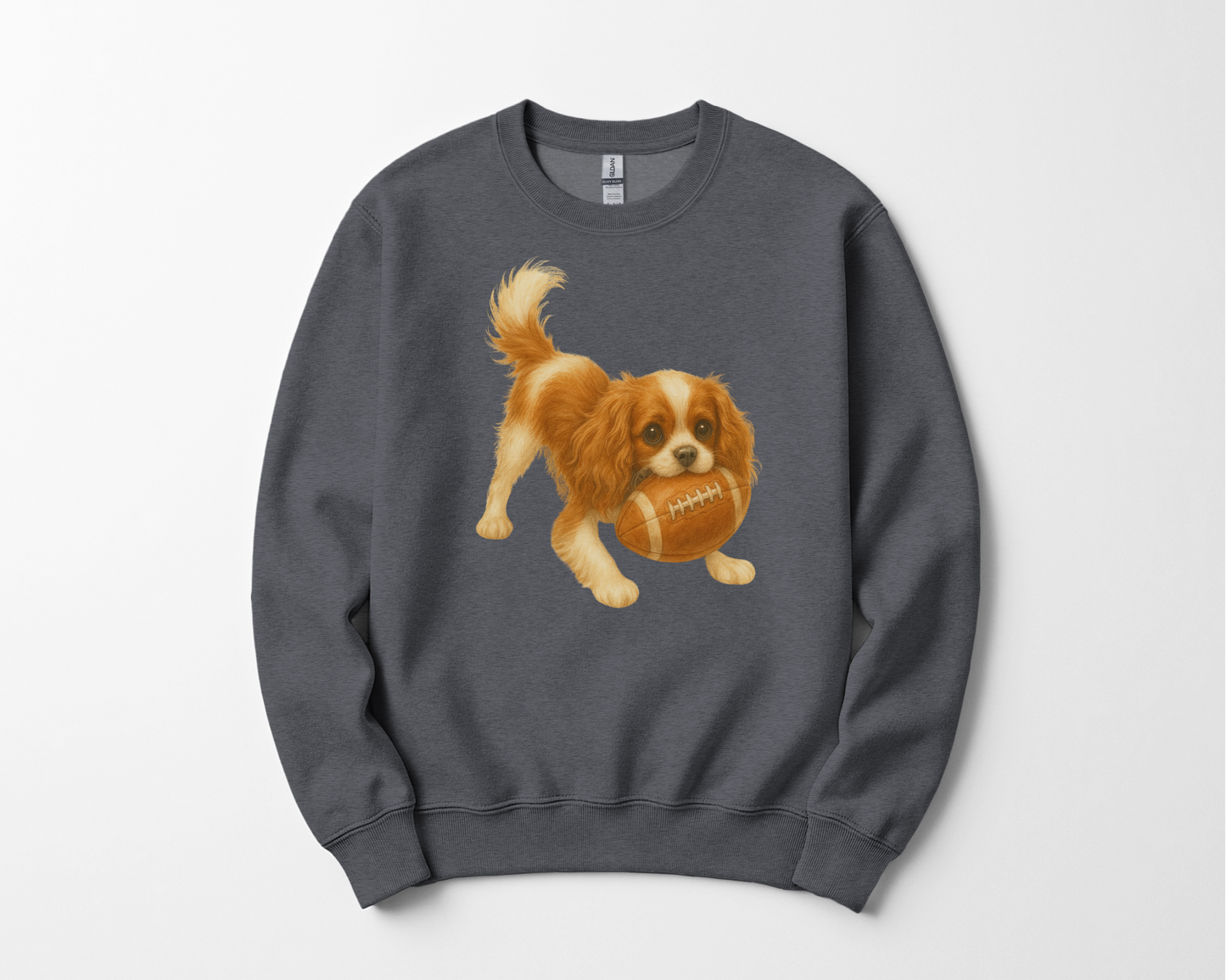Blenheim Cavalier Football Sweatshirt