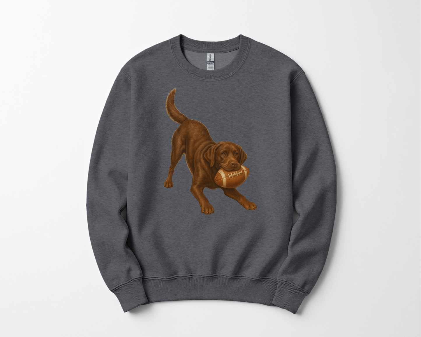 Chocolate Lab Football Sweatshirt