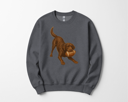 Chocolate Lab Football Sweatshirt