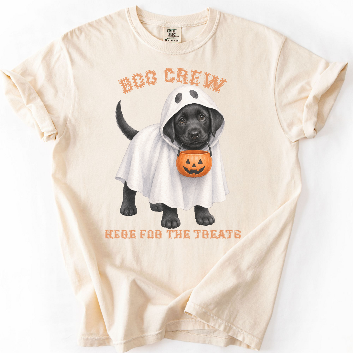 Black Lab Boo Crew Halloween Shirt, Here for the Treats Dog Mom Tee
