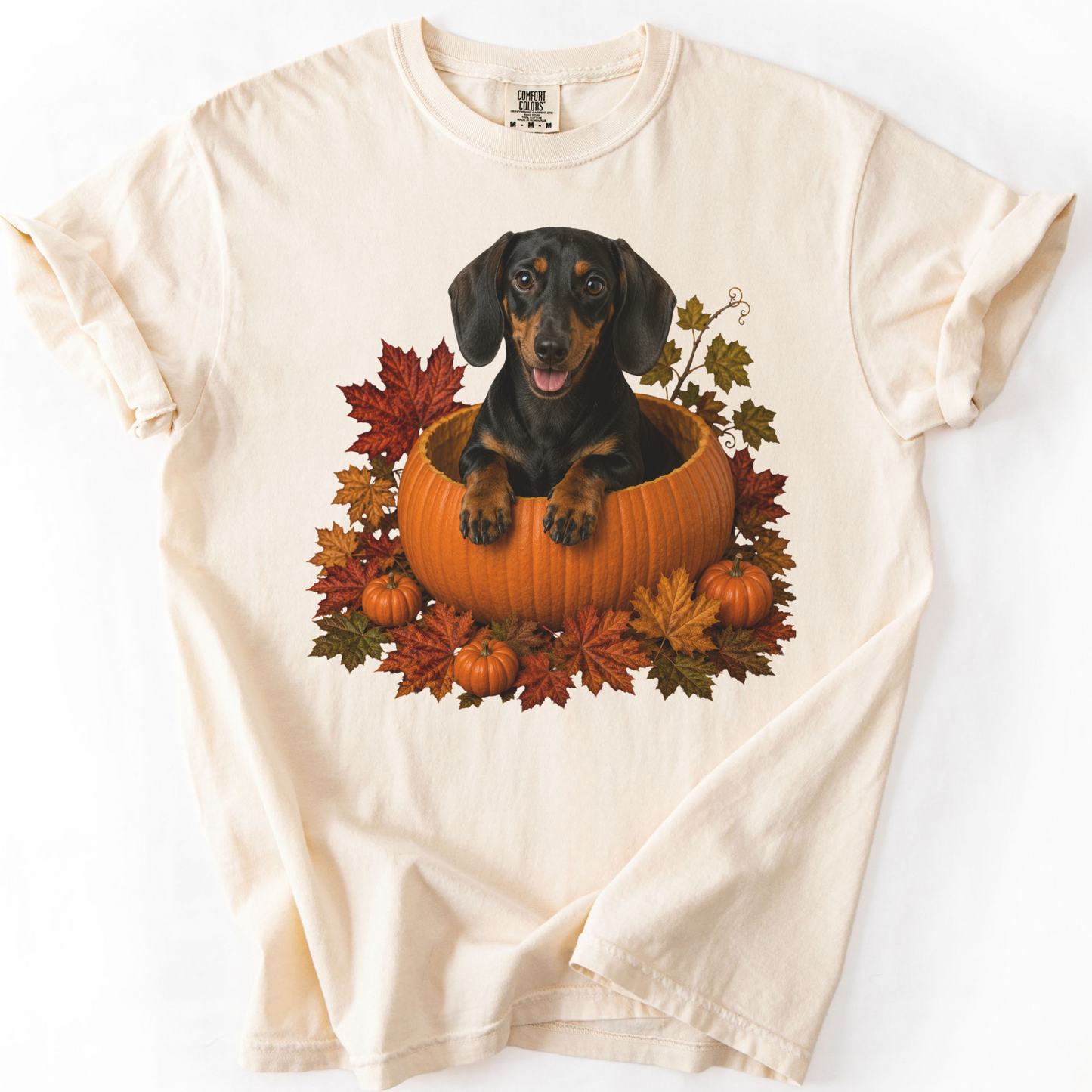 Black and Tan Dachshund Pumpkin Shirt Fall Dog Lover Autumn Comfort Colors Graphic Tee Gift Apparel