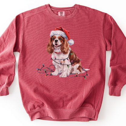 Blenheim Cavalier King Charles Spaniel Christmas Lights Sweatshirt