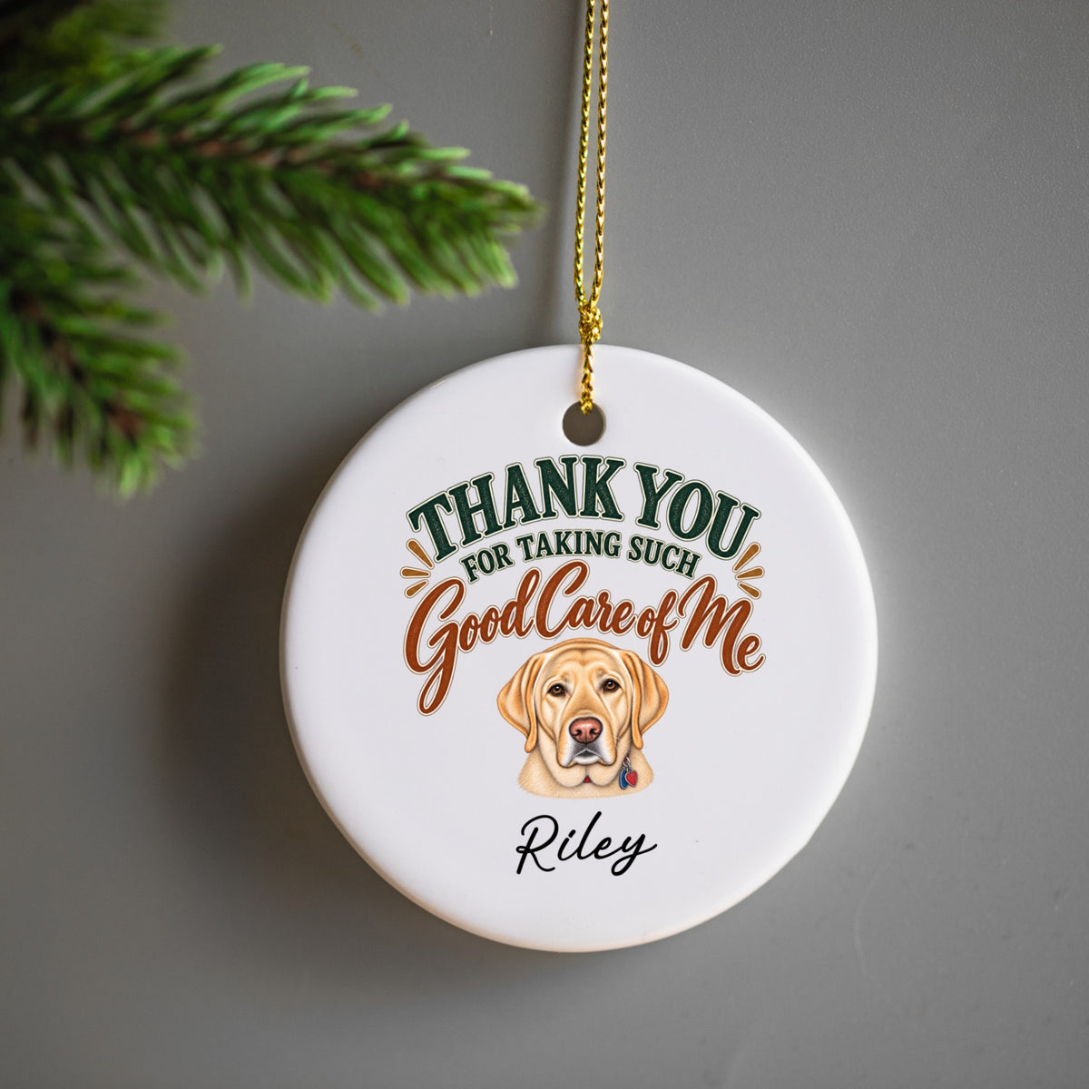 Personalized Veterinarian Ornament, Thank You Vet Gift From Dog, Custom Pet Name Keepsake