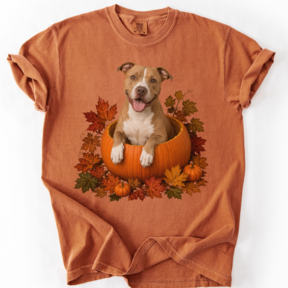 Pitbull Pumpkin Shirt Fall Dog Lover Autumn Comfort Colors Graphic Tee Cozy Gift Apparel