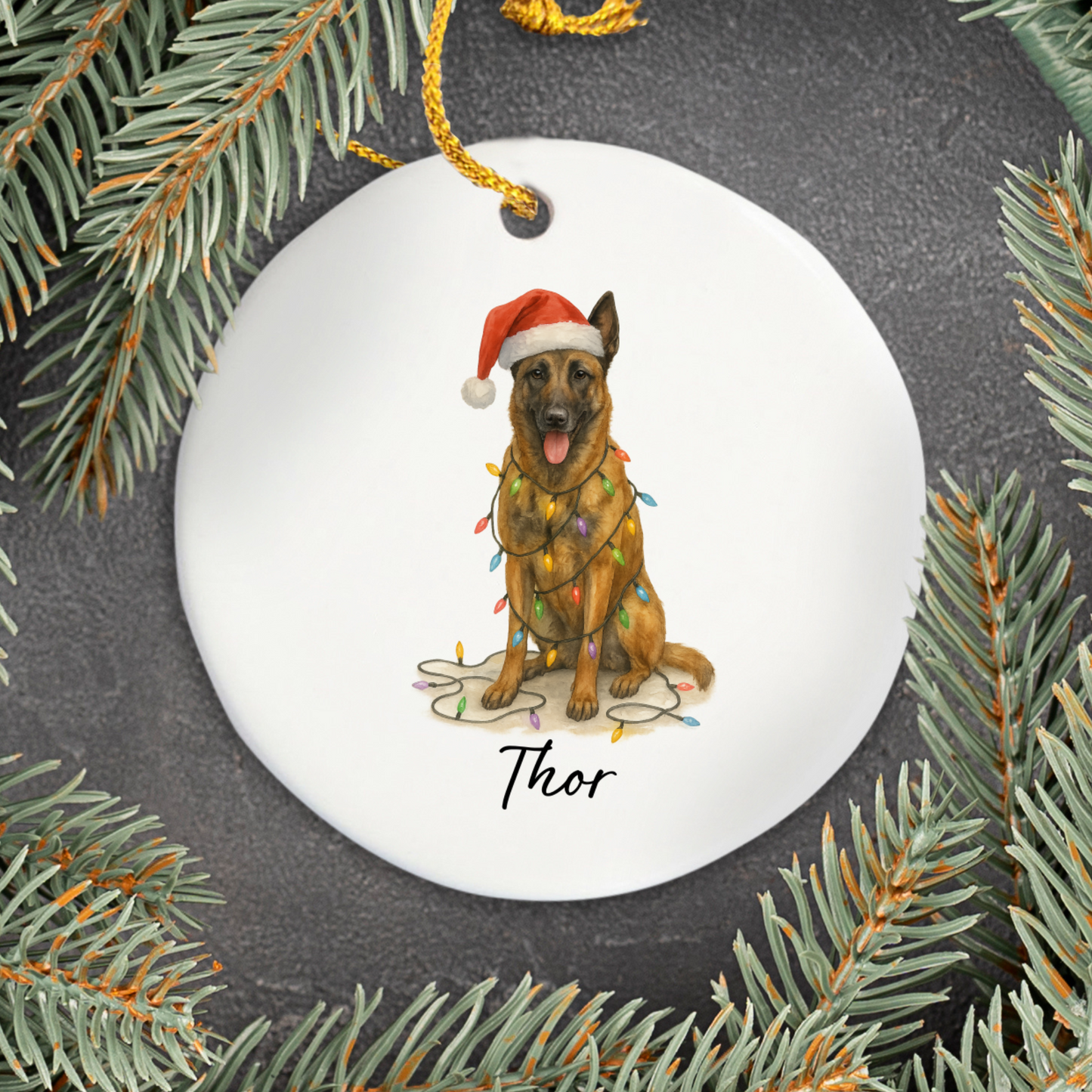 Personalized Belgian Malinois Dog Christmas Ornament, Ceramic Pet Decor, Santa Hat Lights