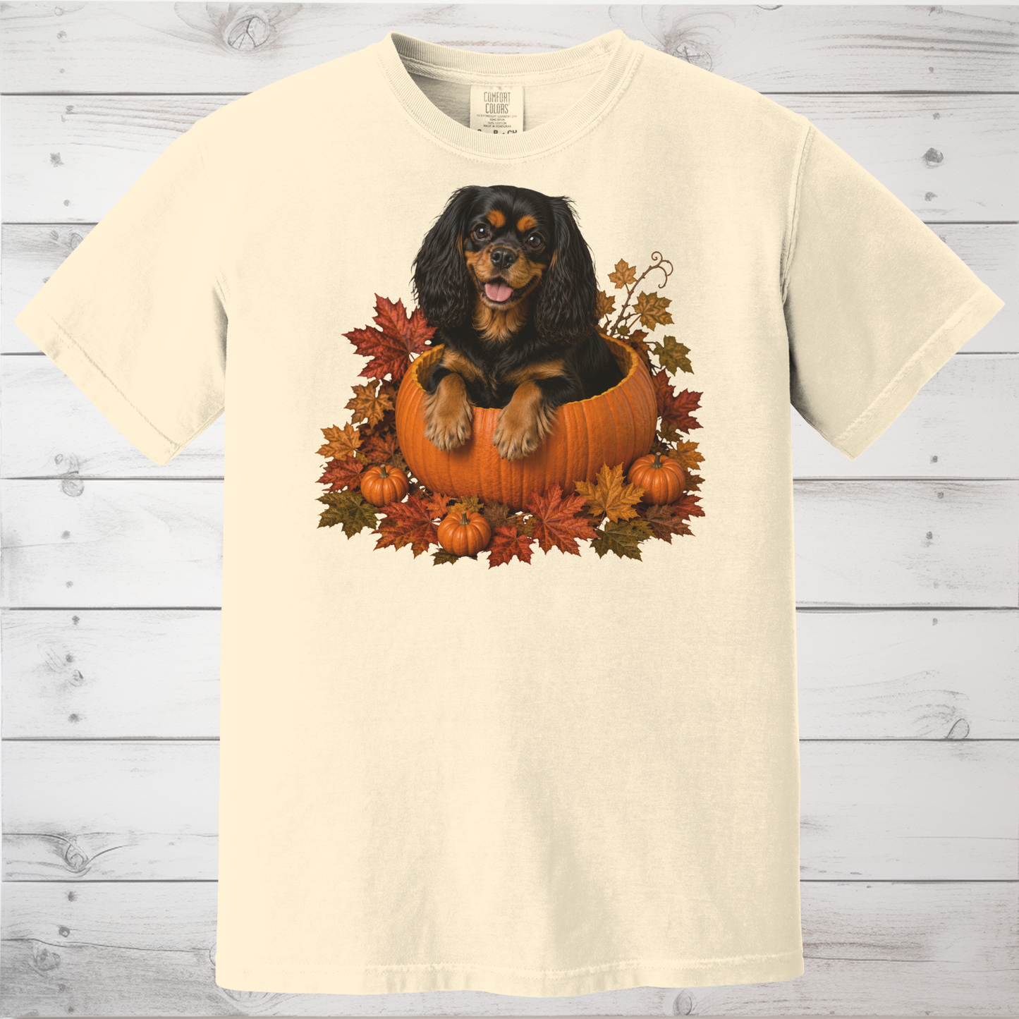 Black and Tan Cavalier Pumpkin Shirt