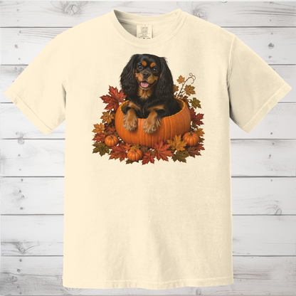 Black and Tan Cavalier Pumpkin Shirt