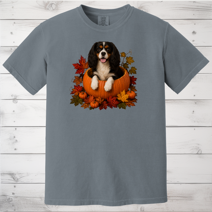 Tricolor Cavalier Pumpkin Shirt