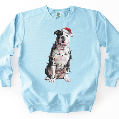 American Bulldog Christmas Lights Sweatshirt, Festive Dog Lover Gift