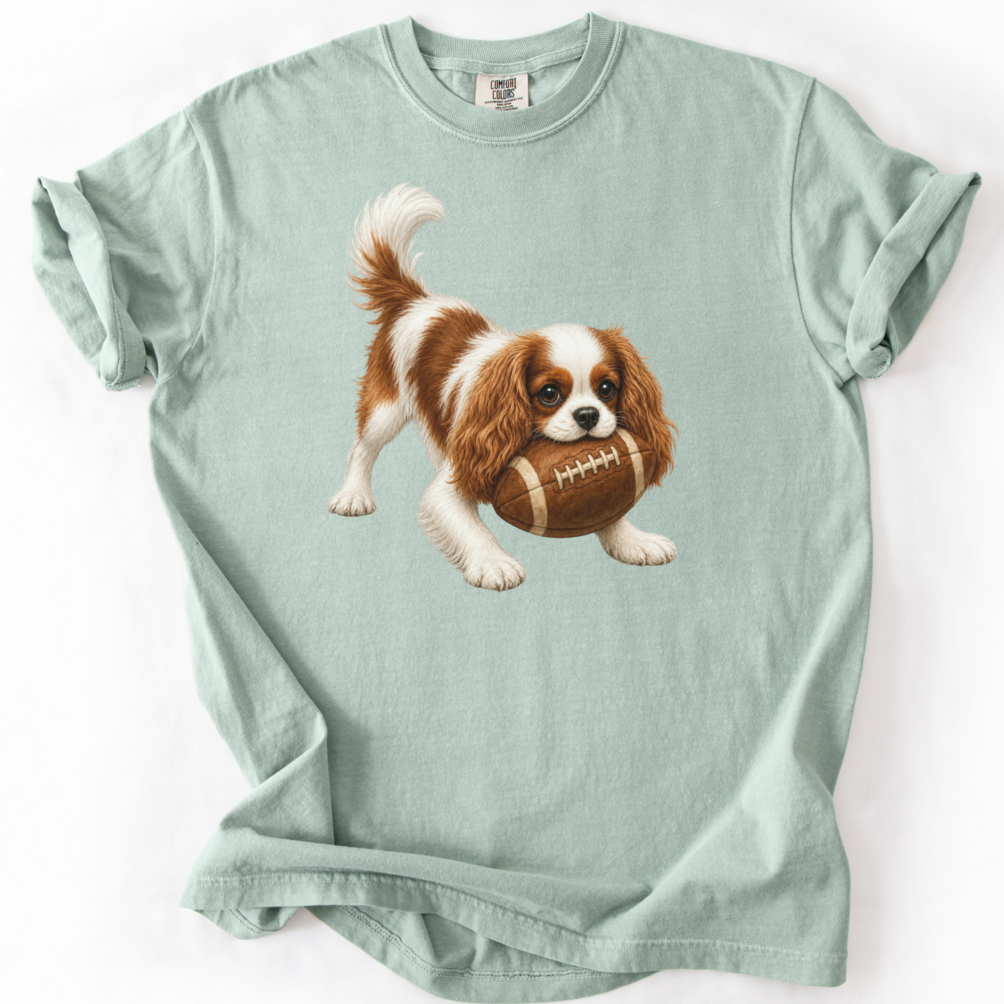 Blenheim Cavalier Football Shirt