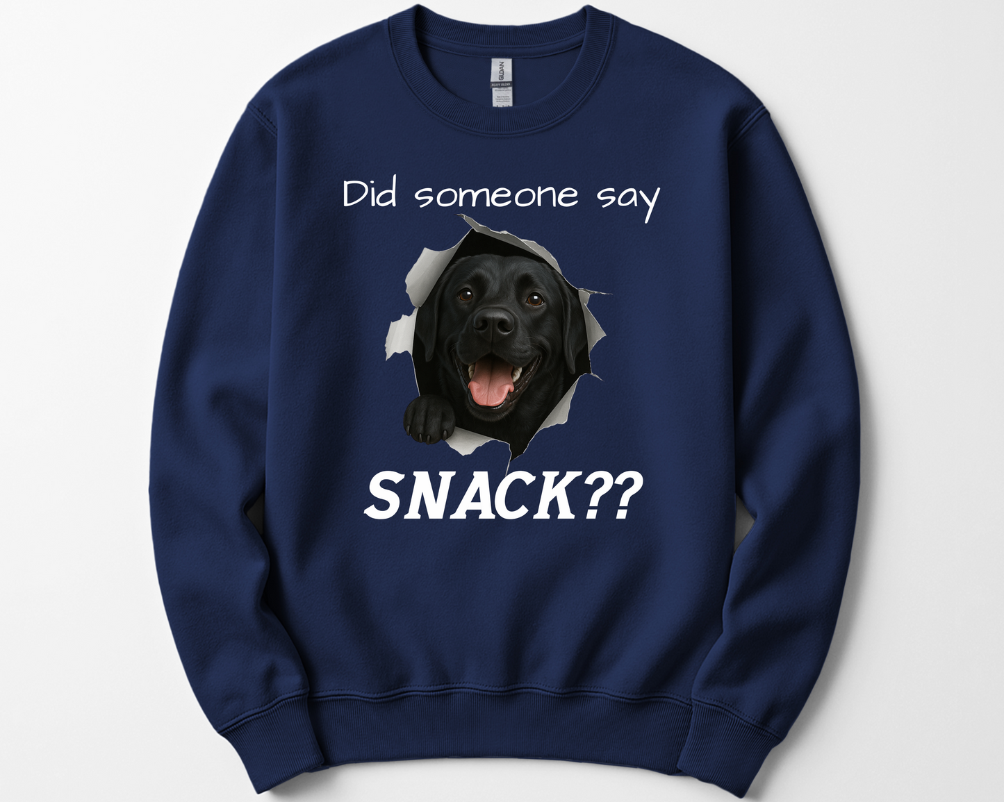 Did Someone Say Snack?? Funny Labrador Retriever Sweatshirt (Black, Chocolate, Fox Red & Yellow Labs)