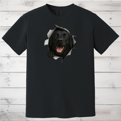 Peeking Labrador Sweatshirt - Use Code FALL15 at checkout for 15% Off.