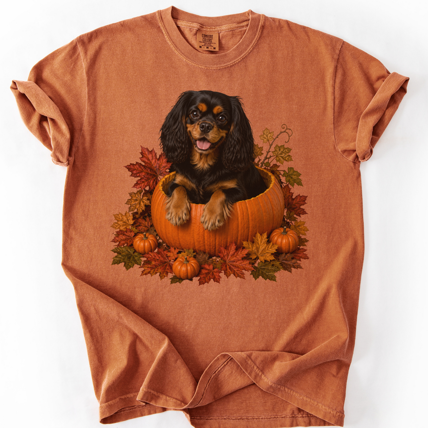 Black and Tan Cavalier Pumpkin Shirt Fall Dog Lover Autumn Comfort Colors Graphic Tee Gift Apparel