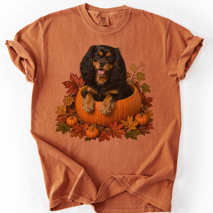 Black and Tan Cavalier Pumpkin Shirt Fall Dog Lover Autumn Comfort Colors Graphic Tee Gift Apparel