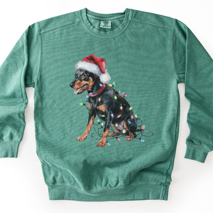 Miniature Pinscher Christmas Lights Dog Sweatshirt, Festive Min Pin Mom Apparel