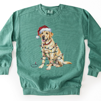 Yellow Labrador Christmas Lights Sweatshirt