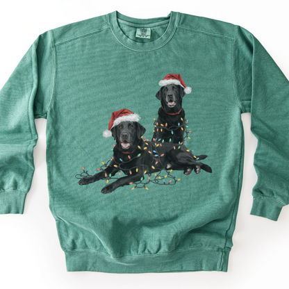 Black Labs Christmas Lights Sweatshirt