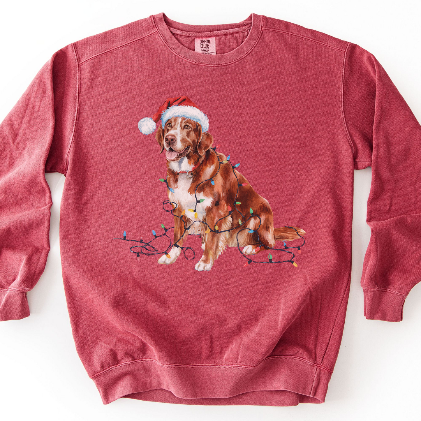 Nova Scotia Duck Tolling Retriever Christmas Sweatshirt, Festive Lights Dog Sweater