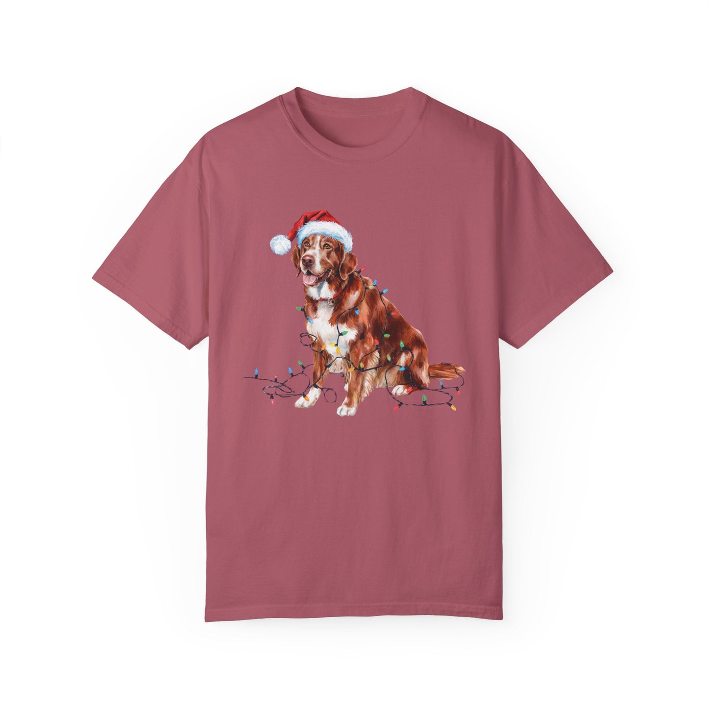 Christmas Nova Scotia Duck Tolling Retriever Shirt, Christmas Lights Dog Tee, Christmas Dog Tee, Retriever Mom Tshirt, Gift for Dog Lover