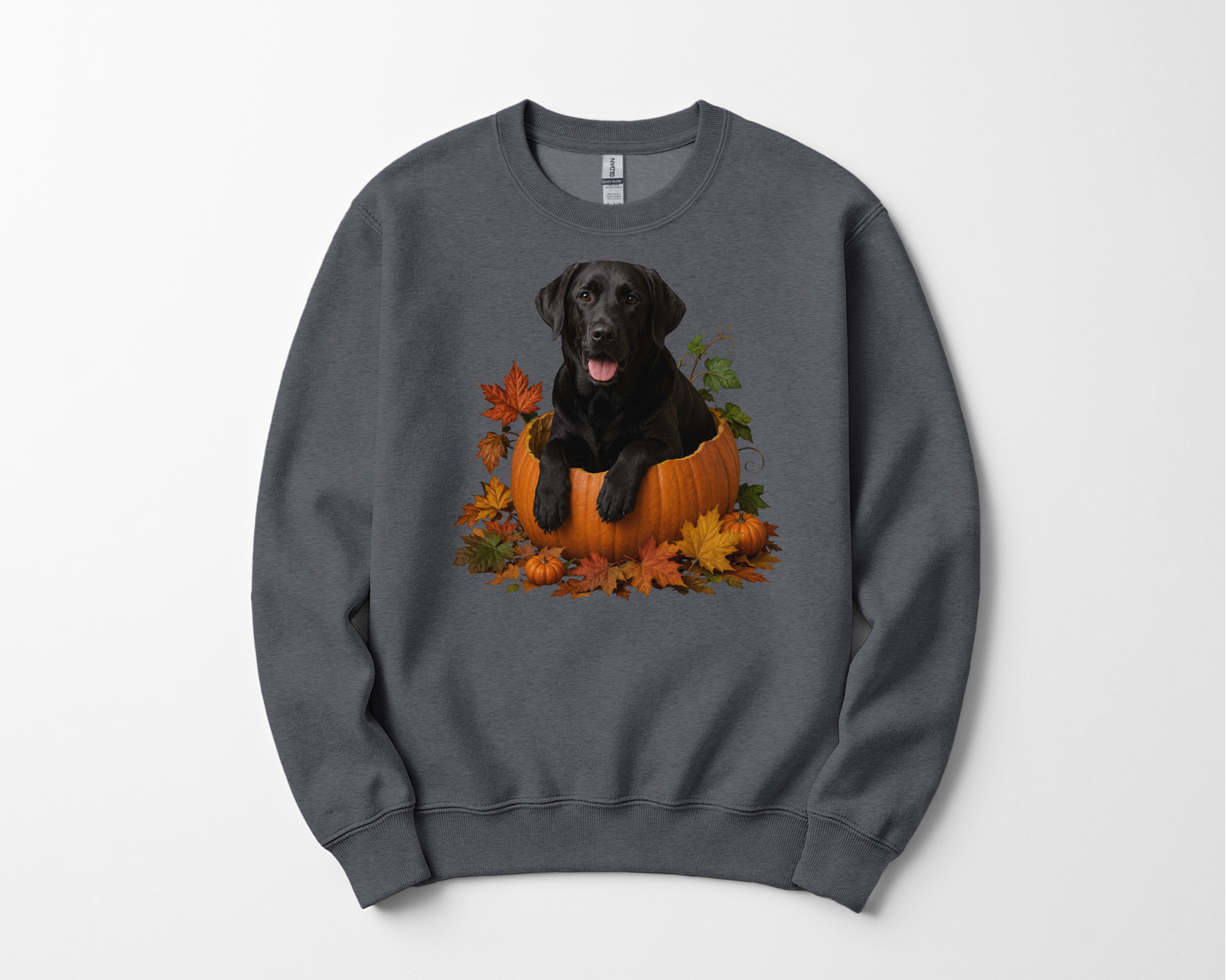 Black Lab Pumpkin Sweatshirt Fall Dog Lover Autumn Labrador Cozy Crewneck Gift Pullover Apparel