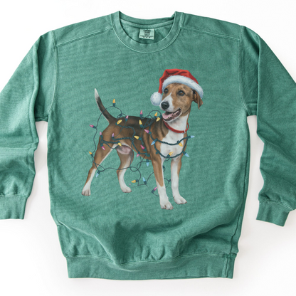 Smooth Fox Terrier Christmas Lights Sweatshirt, Festive Dog Lover Apparel