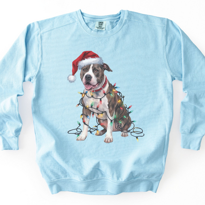 Christmas Pitbull Sweatshirt, Festive Lights Dog Sweater, Pitbull Mom Holiday Apparel
