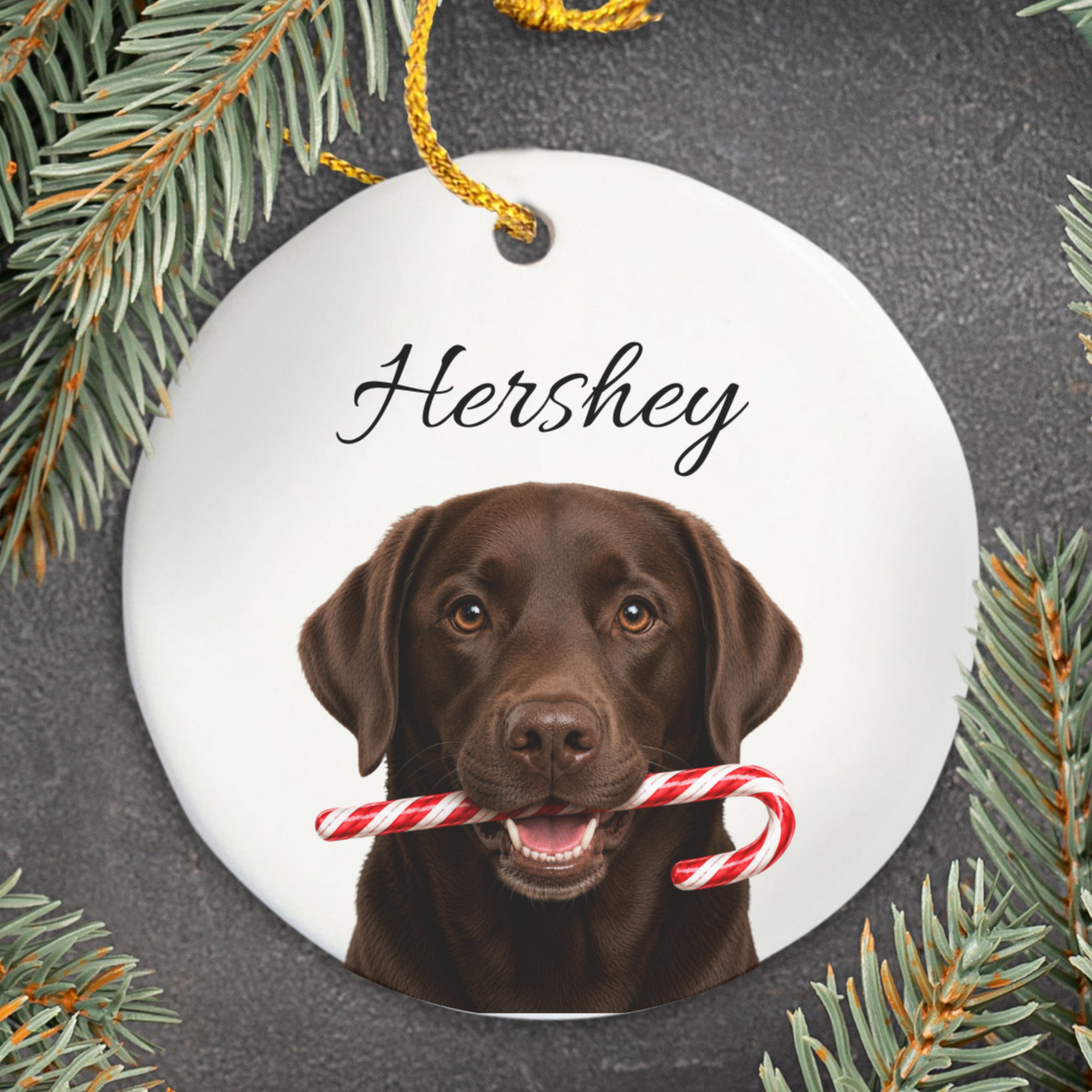 Personalized Chocolate Lab Candy Cane Ornament