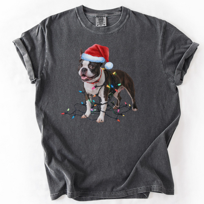 Boston Terrier Christmas Lights Shirt, Fun Holiday Tee for Terrier Lovers