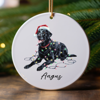 Load image into Gallery viewer, Personalized Black Labrador Christmas Lights Ornament

