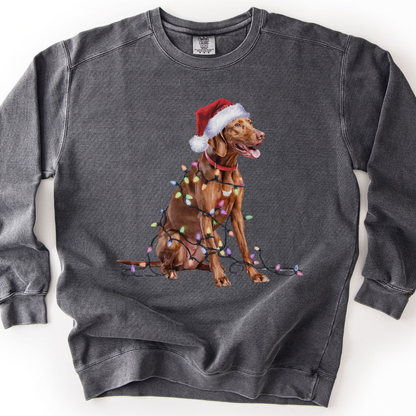 Christmas Vizsla Sweatshirt, Lights Dog Sweater, Vizsla Mom Apparel, Dog Lover Gift