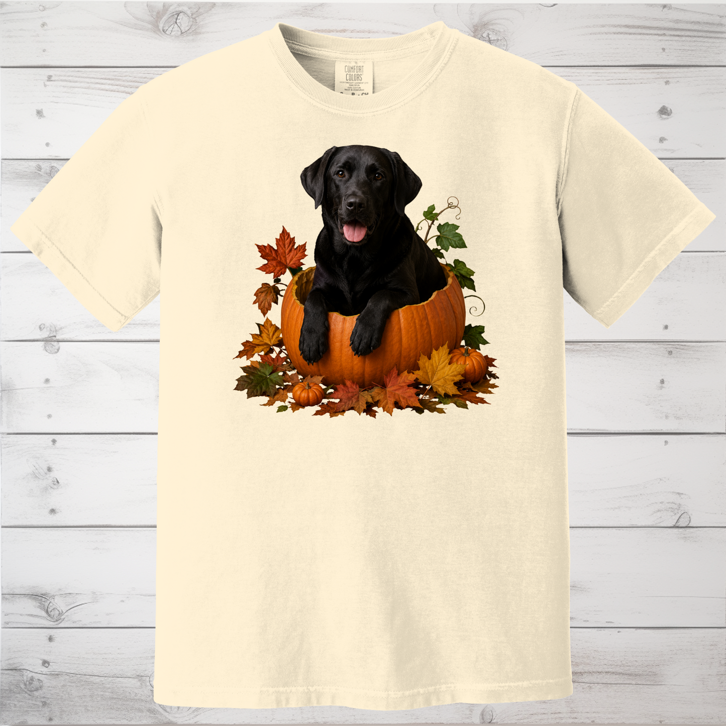 Black Lab Pumpkin Shirt
