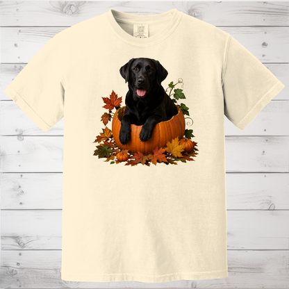 Black Lab Pumpkin Shirt