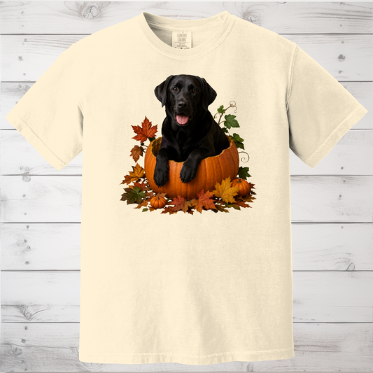 Black Lab Pumpkin Shirt