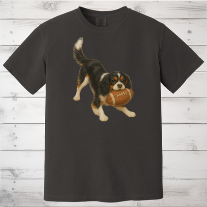 Tricolor Cavalier Football Shirt