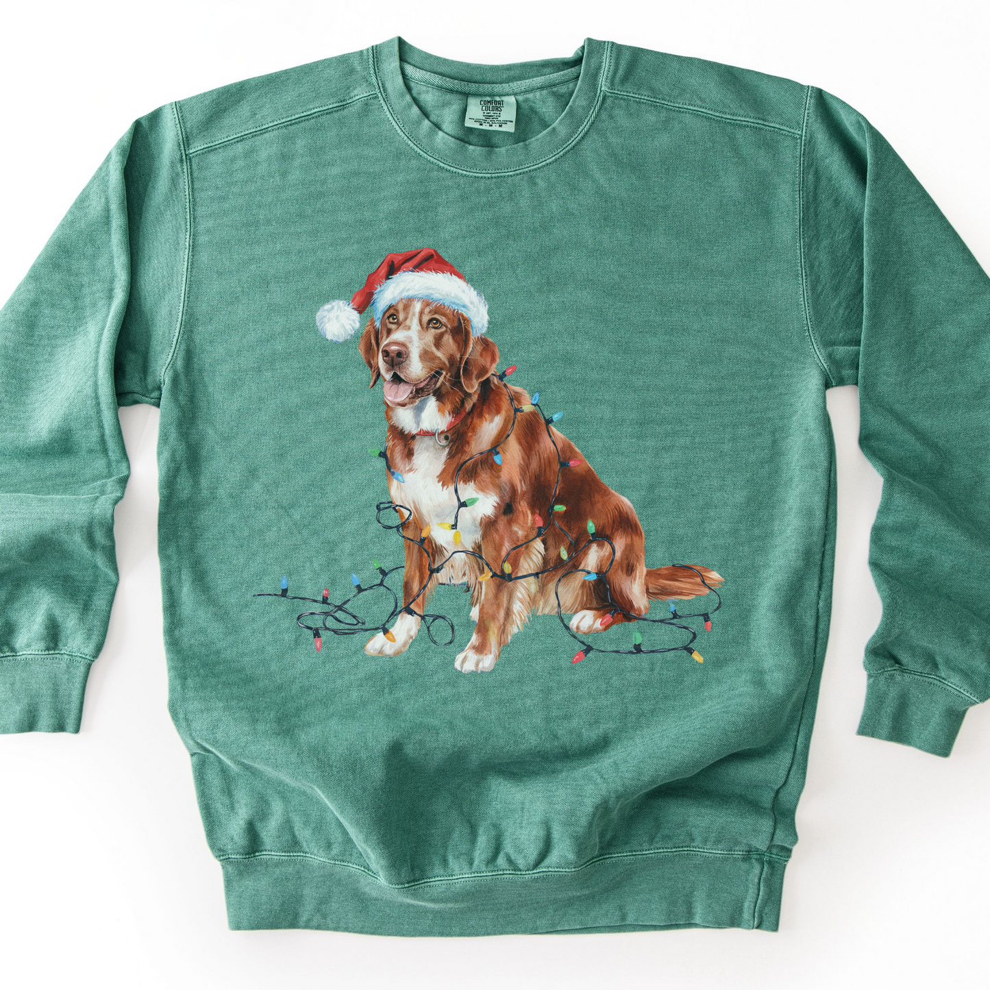 Nova Scotia Duck Tolling Retriever Christmas Sweatshirt, Festive Lights Dog Sweater
