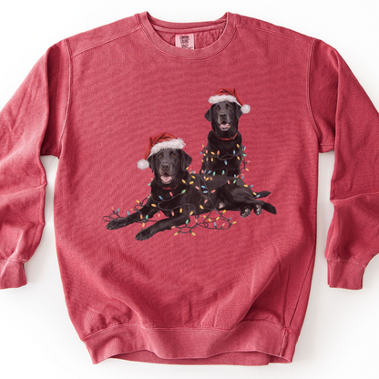 Black Labs Christmas Lights Sweatshirt