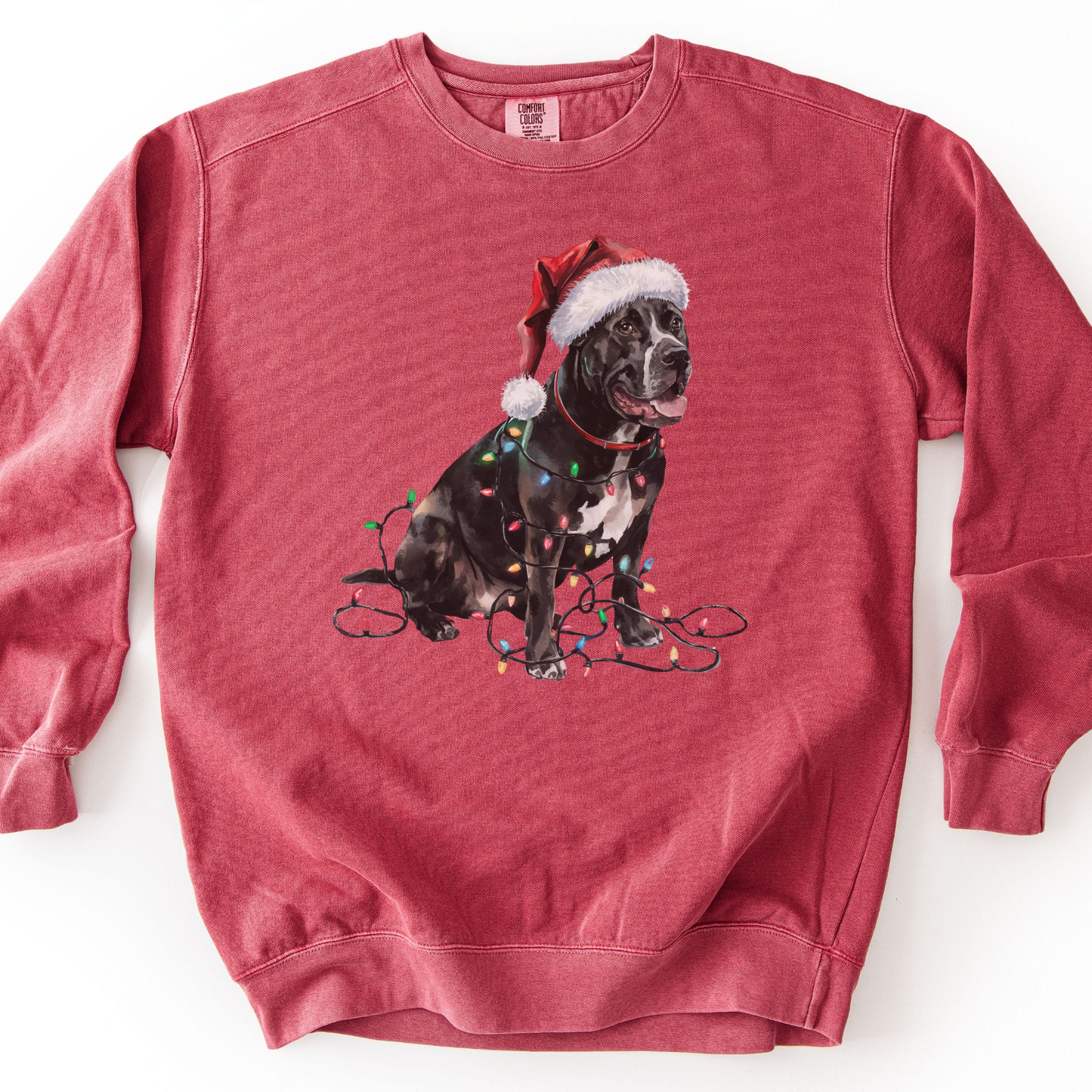 Cane Corso Christmas Lights Sweatshirt