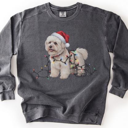 Christmas Bichon Frise Sweatshirt, Holiday Lights Dog Sweater, Bichon Mom Gift