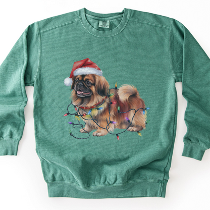 Pekingese Christmas Lights Dog Sweatshirt, Festive Holiday Pet Lover Apparel