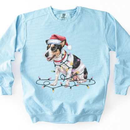 Rat Terrier Christmas Lights Sweatshirt, Festive Dog Lover Apparel