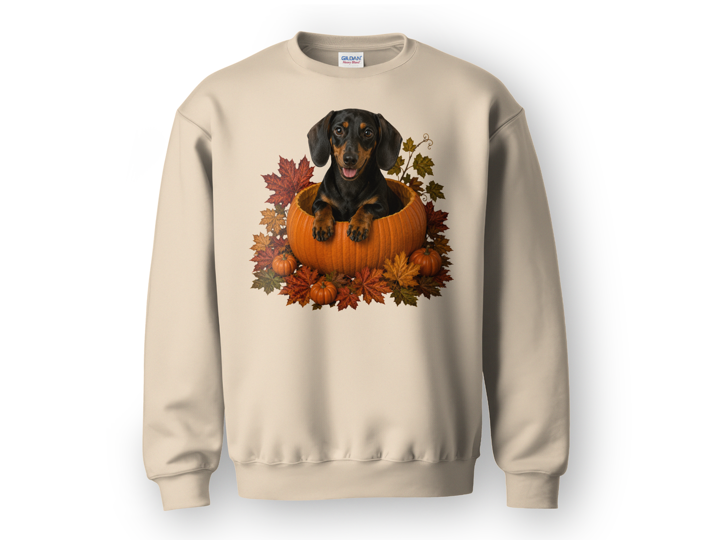 Black and Tan Dachshund Pumpkin Sweatshirt Fall Dog Lover Autumn Puppy Cozy Crewneck Gift Apparel