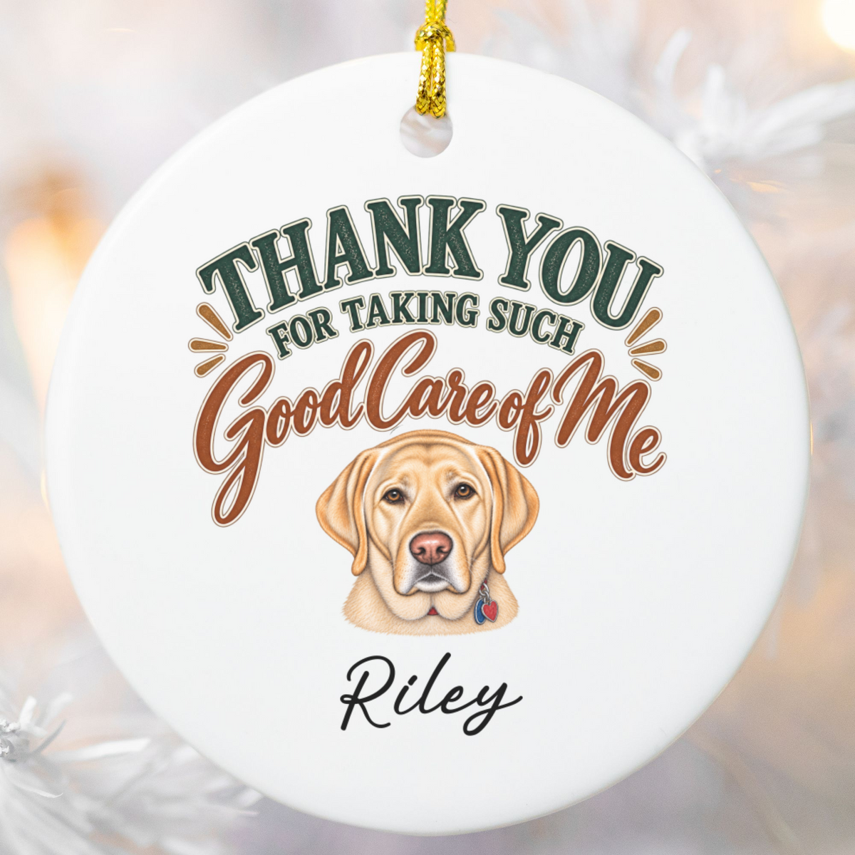 Personalized Veterinarian Ornament, Thank You Vet Gift From Dog, Custom Pet Name Keepsake