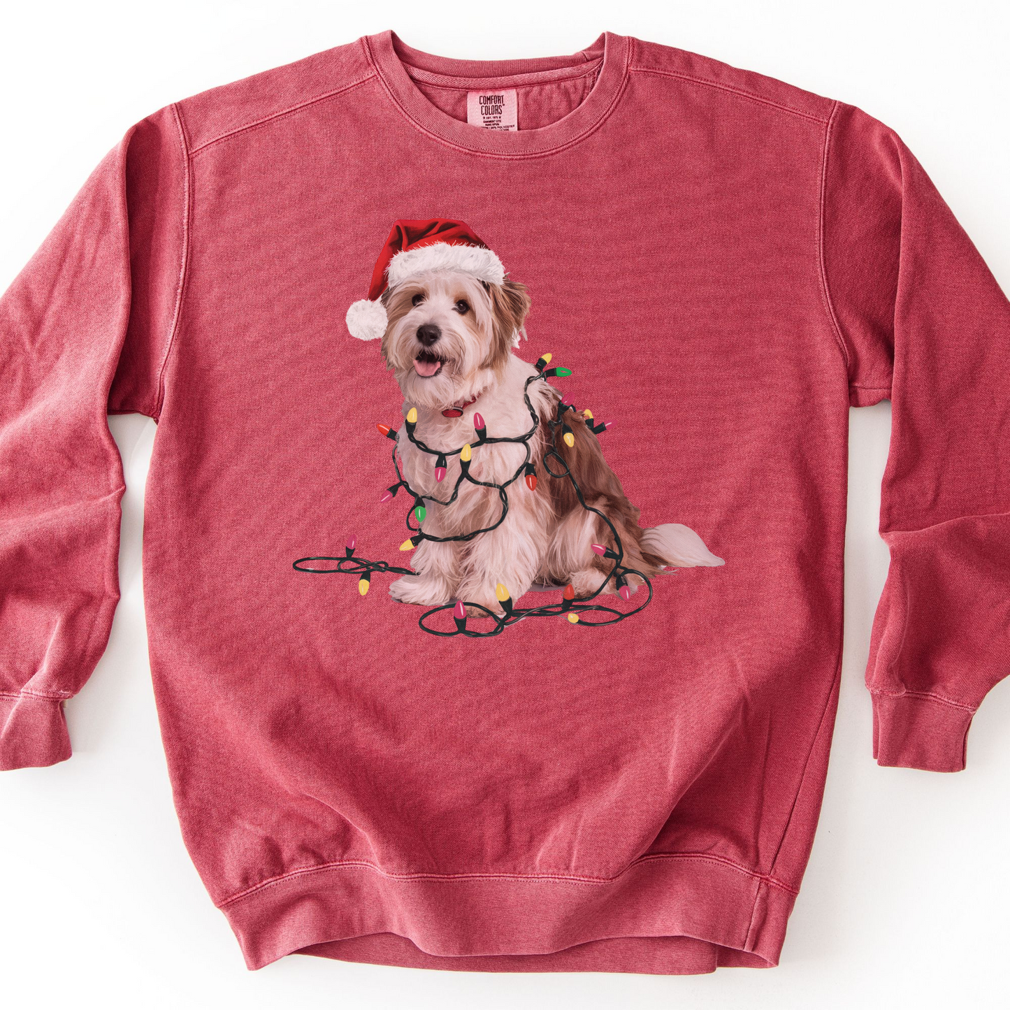 Coton De Tulear Christmas Lights Dog Sweatshirt