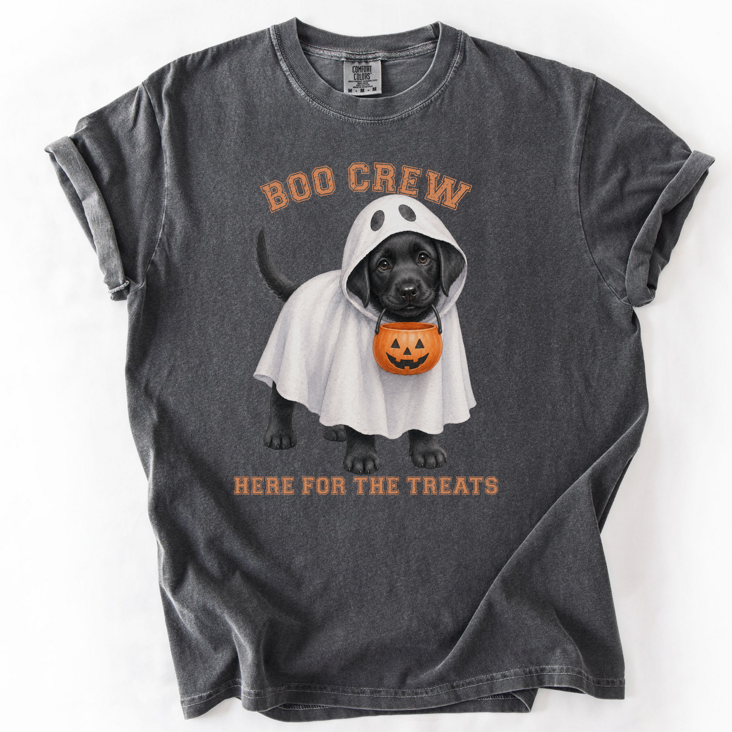 Black Lab Boo Crew Halloween Shirt, Here for the Treats Dog Mom Tee