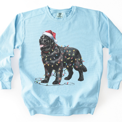 Newfoundland Dog Christmas Lights Sweatshirt, Festive Black Newf Sweater