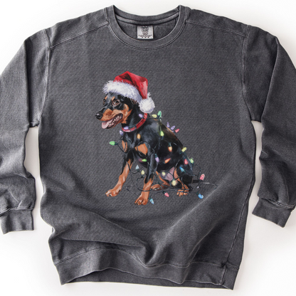 Miniature Pinscher Christmas Lights Dog Sweatshirt, Festive Min Pin Mom Apparel