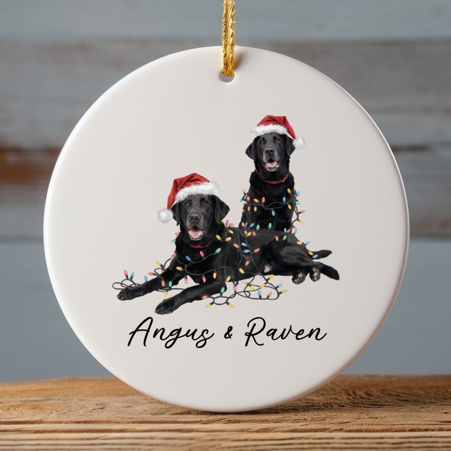 Personalized Black Lab Christmas Ornament: Festive Dog Duo with Lights, Ceramic Keepsake